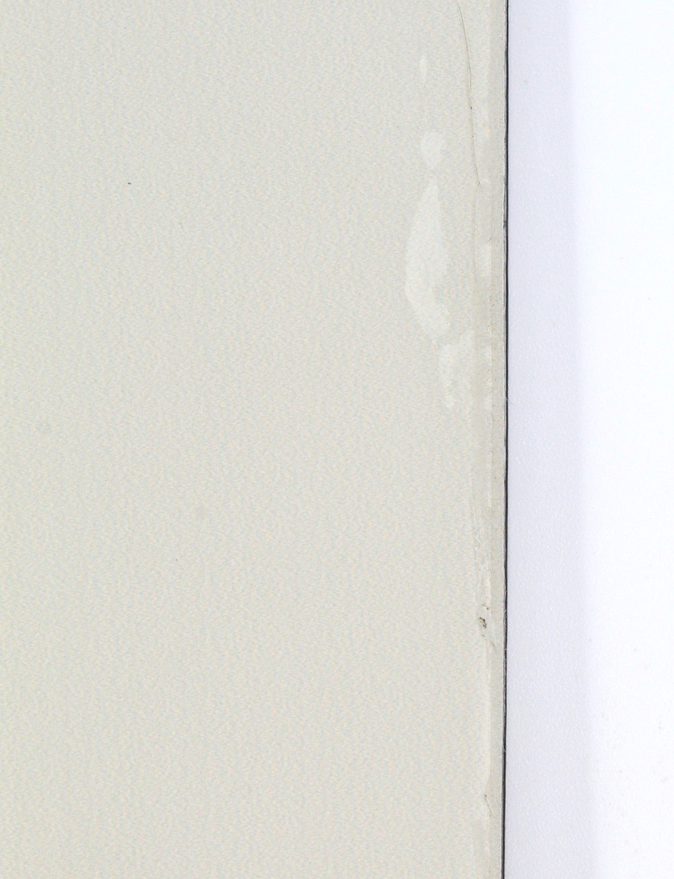 Surface Balance Flat Skis - 174 cm New