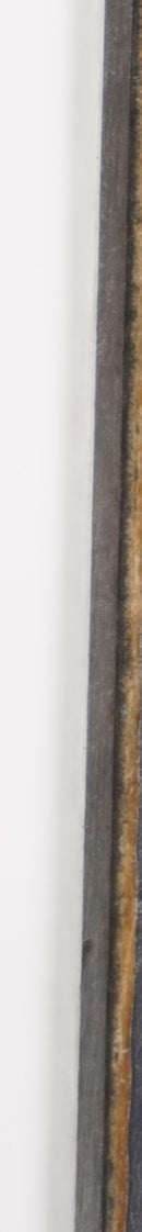 Elan Element Adult Skis with Bindings - 170 cm Used