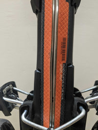 Elan Element RS Adult Skis with Bindings - 160 cm Used