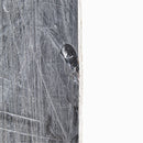 Rossignol Trick Stick Snowboard - 151 cm Used