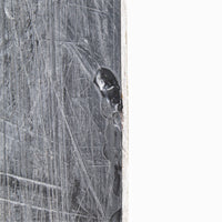 Rossignol Trick Stick Snowboard - 151 cm Used