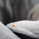 Salomon Performa 4.0 Ski Boots - Size 7 / Mondo 25 Used