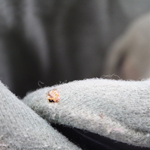 Salomon Performa 4.0 Ski Boots - Size 7 / Mondo 25 Used